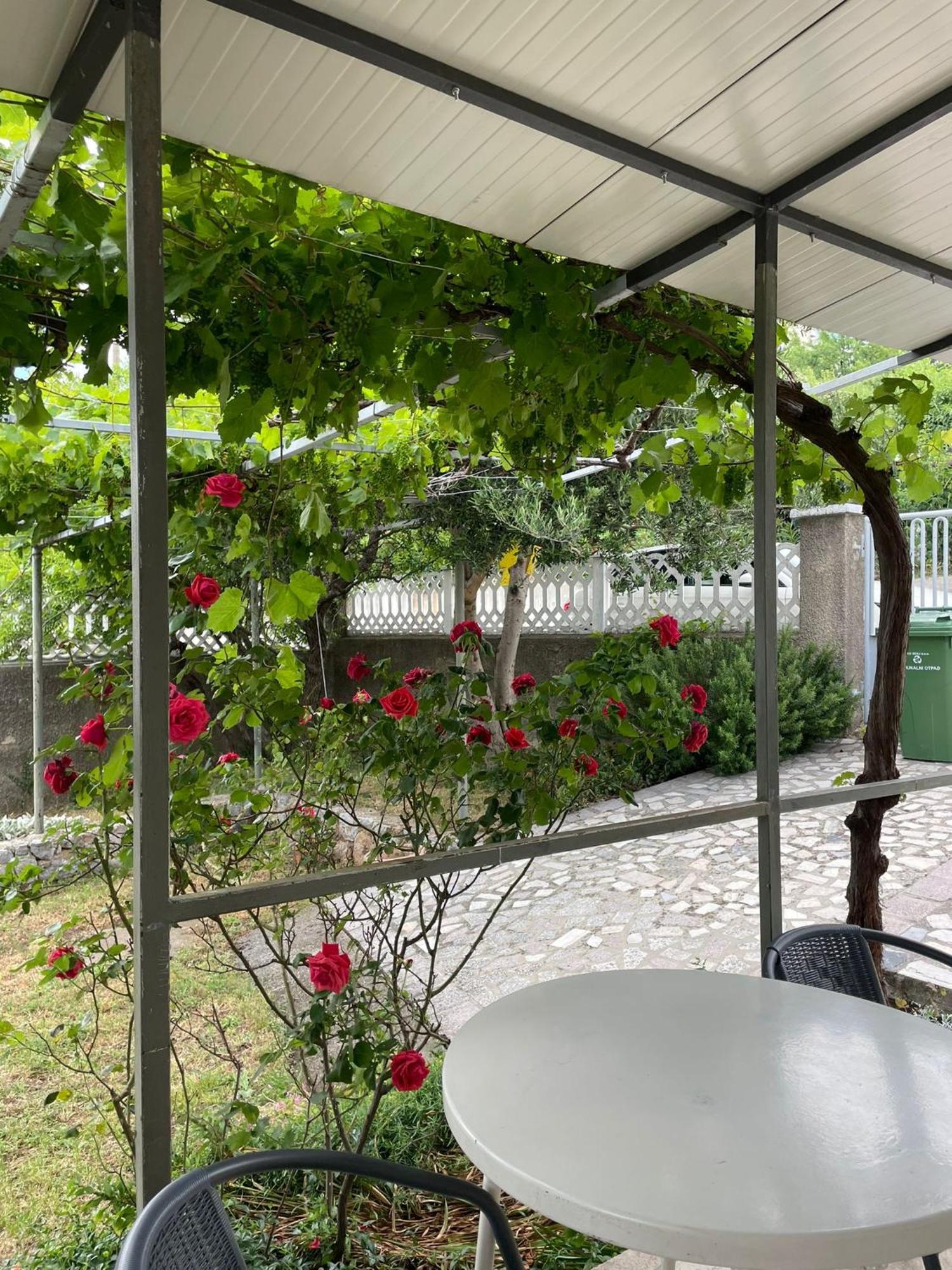 Apartment " So" Zengg Kültér fotó